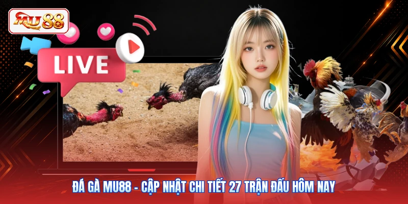 Đá Gà MU88 - Cập Nhật Chi Tiết 27 Trận Đấu Hôm Nay