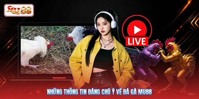 Những thông tin đáng chú ý về đá gà MU88