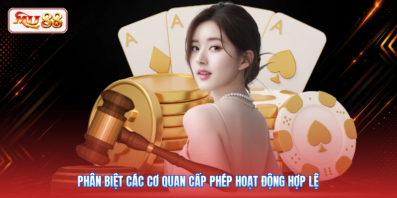 Phân biệt các cơ quan cấp phép hoạt động hợp lệ