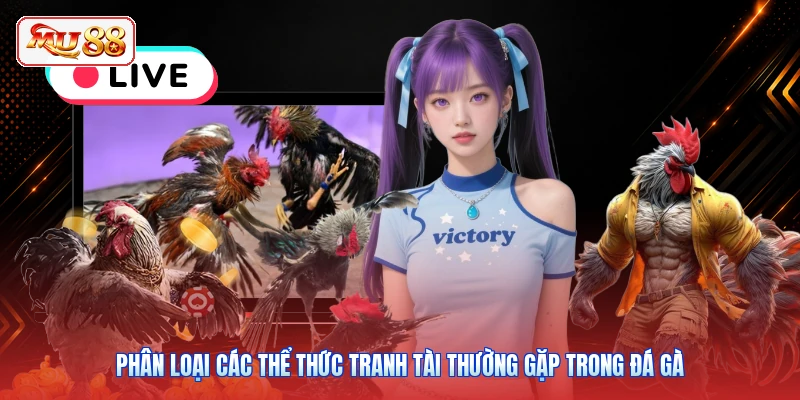 Phân loại các thể thức tranh tài thường gặp trong đá gà